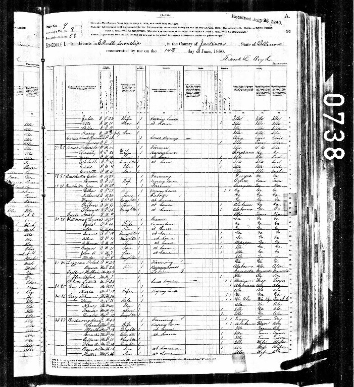 1880 United States Federal Census for Flemming Guy