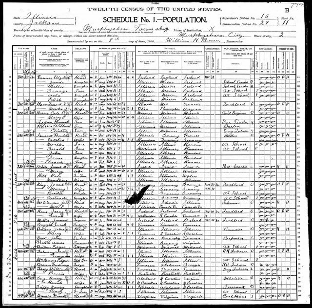 1900 United States Federal Census for Henry Guy